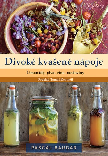 Divoké kvašené nápoje