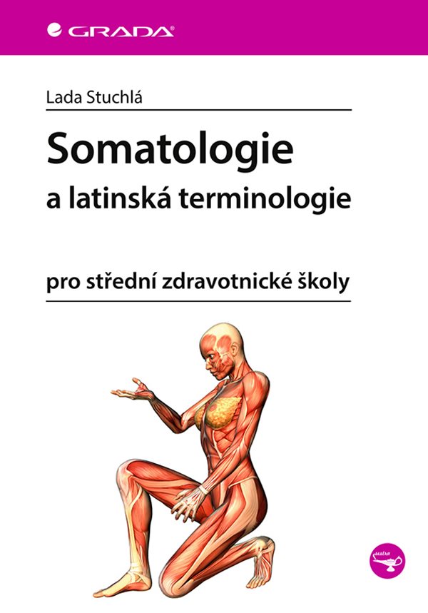 SOMATOLOGIE A LATINSK TERMINOLOGIE PRO SZ