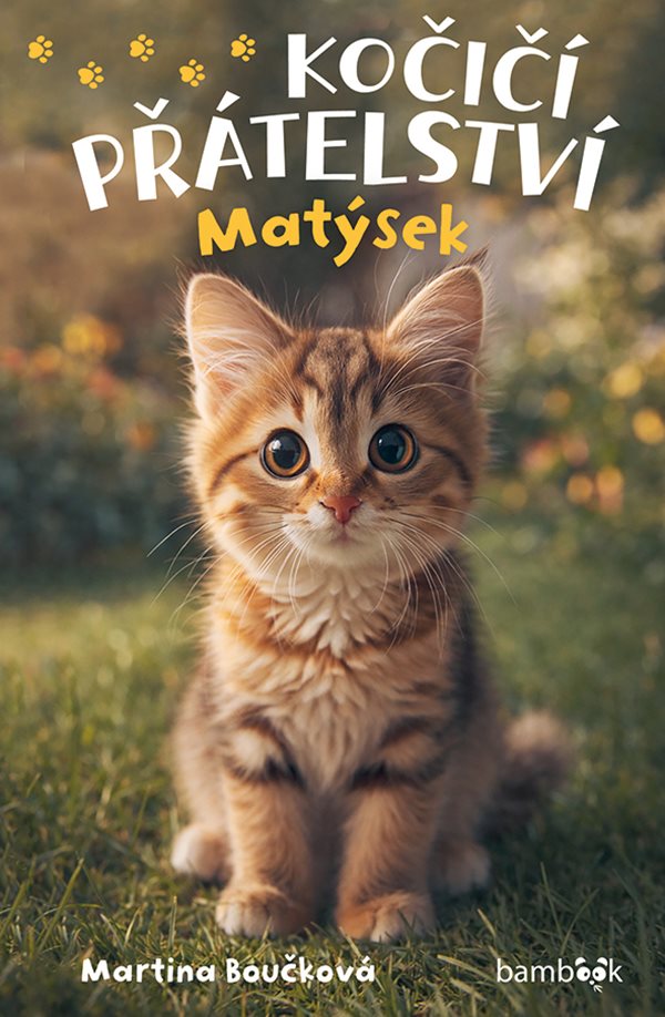 Obálka knihy KOČIČÍ PŘÁTELSTVÍ - MATÝSEK od autora Boučková Martina