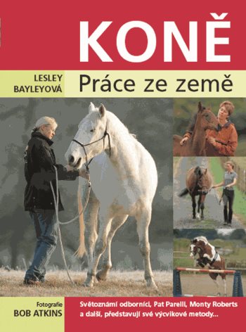 Koně – práce ze země