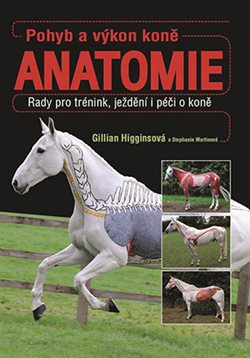 Pohyb a výkon koně - ANATOMIE