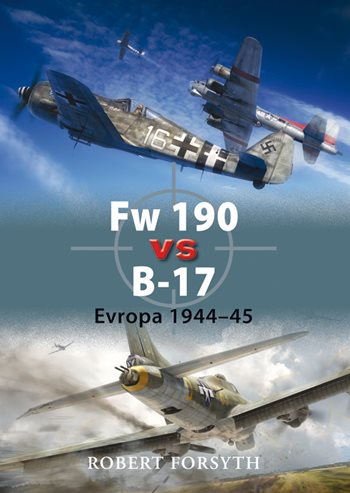Fw 190 vs B-17