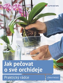 Jak pečovat o své orchideje