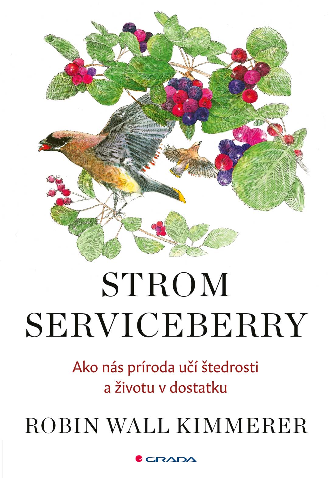 Strom Serviceberry kúpite na Grada.sk
