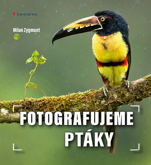 Kniha: Fotografujeme ptáky od Zygmunt Milan
