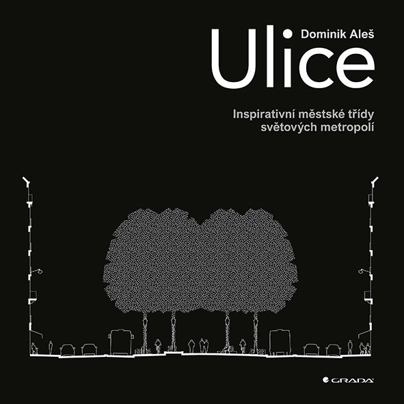 Kniha: Ulice od Aleš Dominik