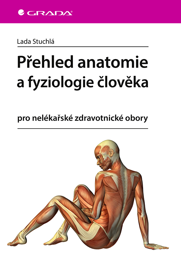 Kniha: Přehled anatomie a fyziologie člověka od Stuchlá Lada