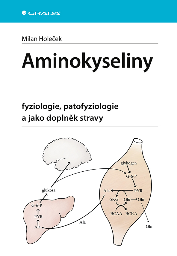 Levně Aminokyseliny - fyziologie, patofyziologie a jako doplněk stravy, Holeček Milan