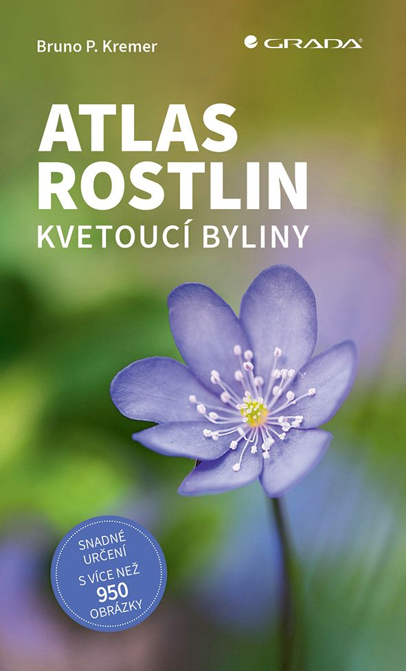 Atlas rostlin, kvetoucí byliny