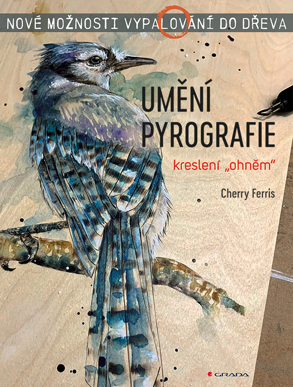 E-kniha: Umění pyrografie od Ferris Cherry