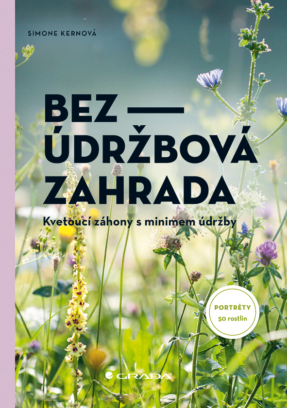 Kniha: Bezúdržbová zahrada od Kern Simone