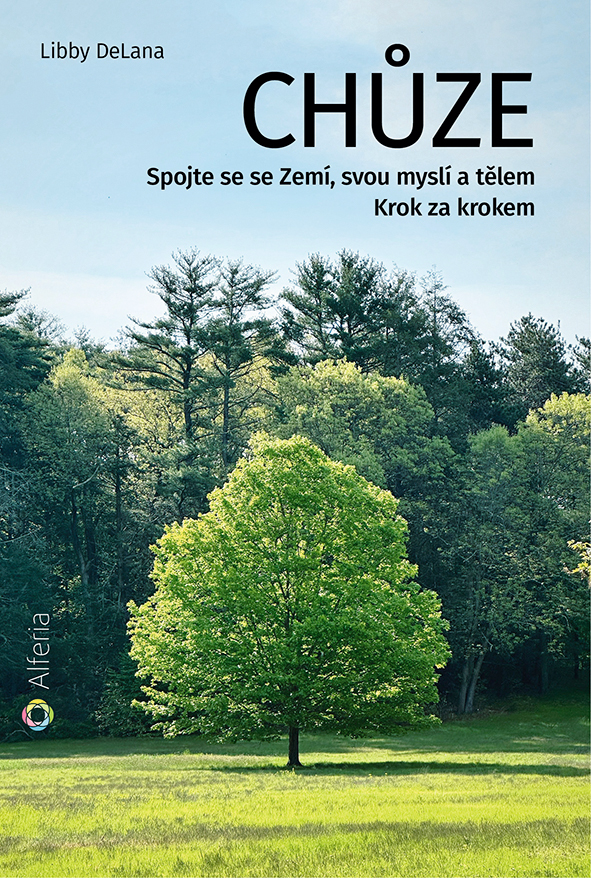 E-kniha: Chůze od DeLana Libby