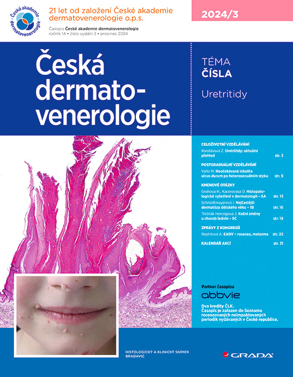 E-kniha: Česká dermatovenerologie 2024/3 od Hercogová Třešňák Jana