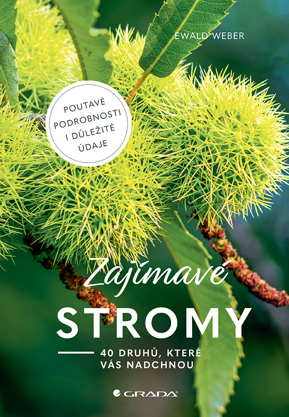 Kniha: Zajímavé stromy od Weber Ewald