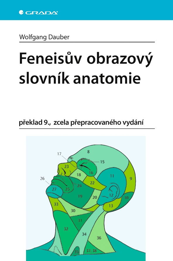 Levně Feneisův obrazový slovník anatomie, Dauber Wolfgang