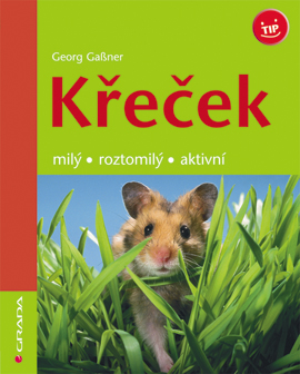 Křeček, milý, roztomilý, aktivní