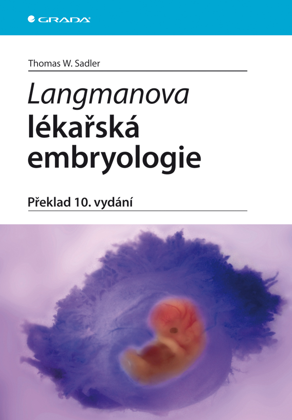 Výsledek obrázku pro langmanova lékařská embryologie