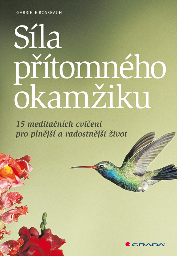 Síla přítomného okamžiku, 15 meditačních cvičení pro plnější a radostnější život