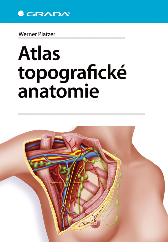 Levně Atlas topografické anatomie, Platzer Werner